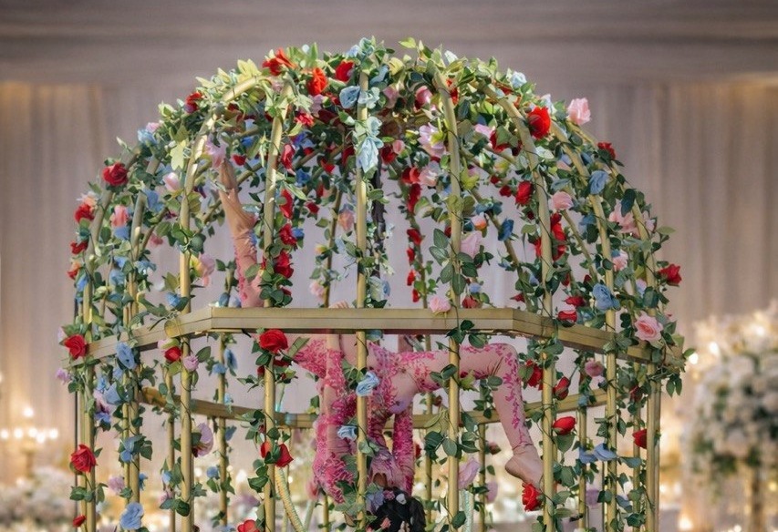 Birdcage aerial prop — collection card